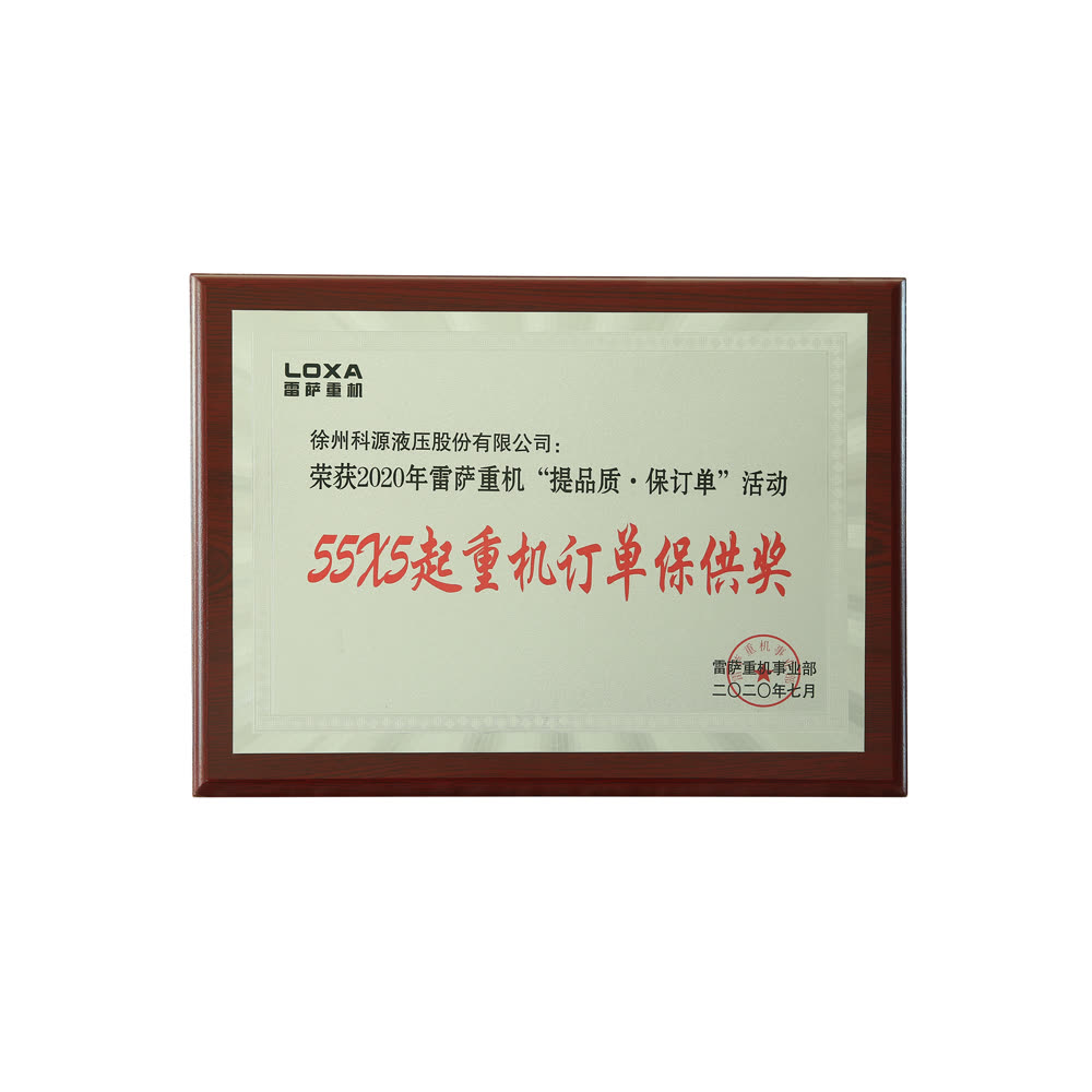 雷萨重工订单保供奖